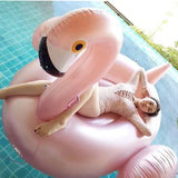 Inflatable Swimming Pool Float