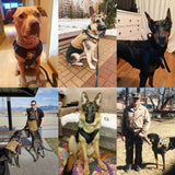 Tactical Dog Harness And Leash Set Metal Buckle